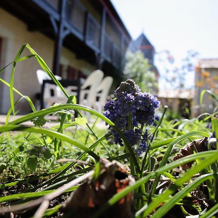 Вилла Au Repos Des Elfes Braye-sous-Faye Экстерьер фото