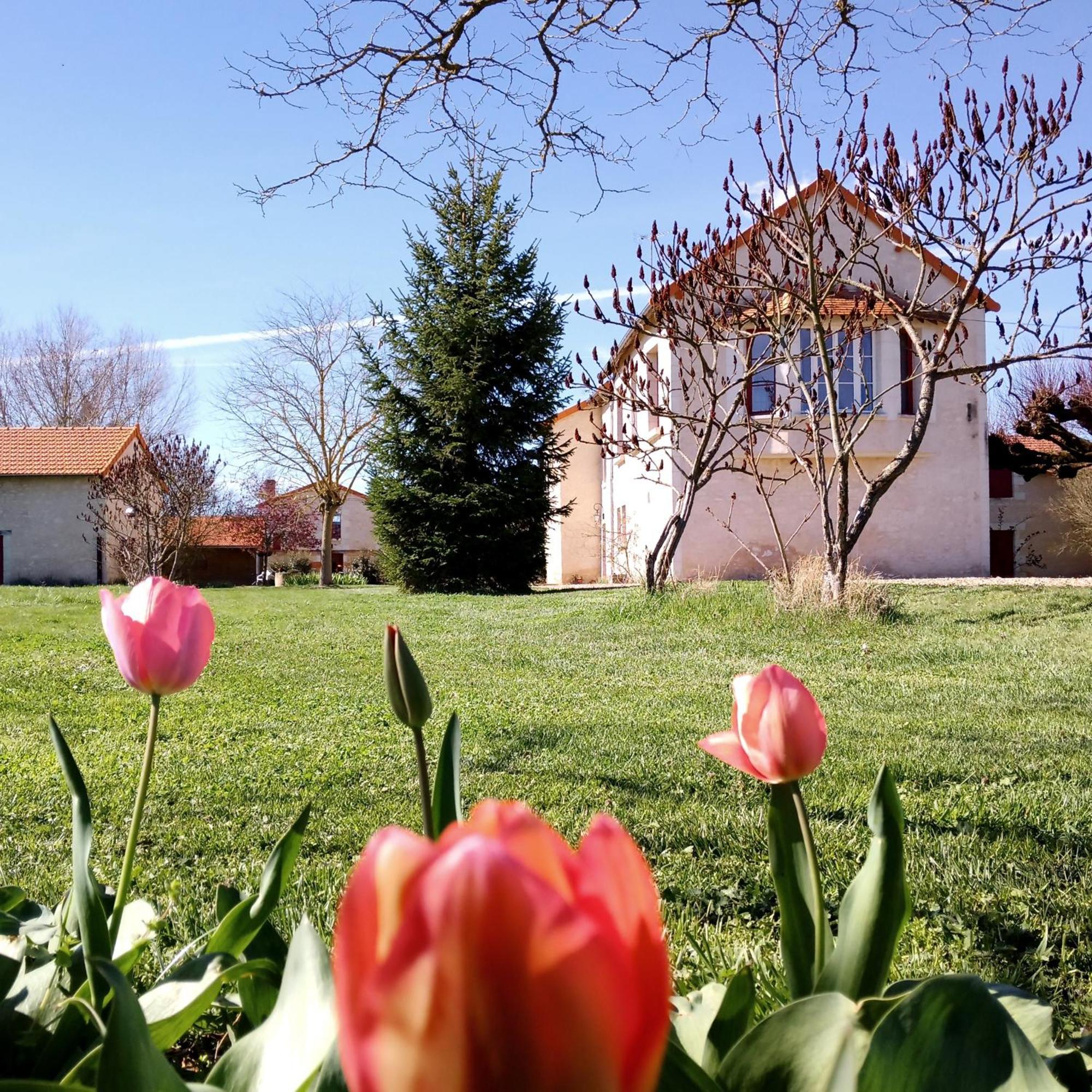 Вилла Au Repos Des Elfes Braye-sous-Faye Экстерьер фото